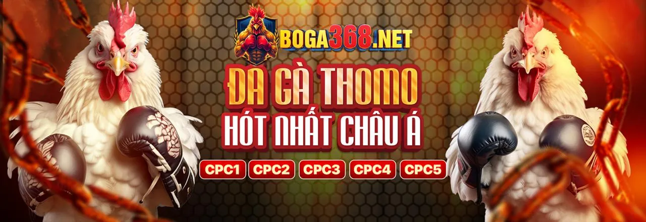Đá Gà Trực Tuyến 365ball Đăng Nhập