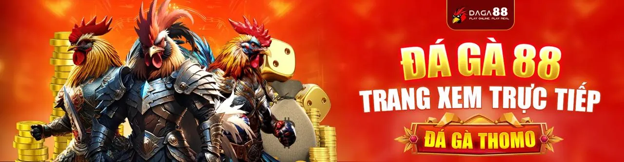 Trải nghiệm xem đá gà trực tiếp 365ball